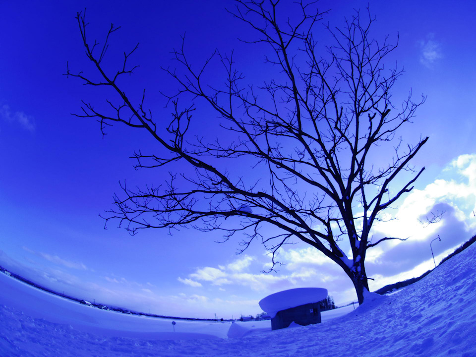 blue-snow.jpg